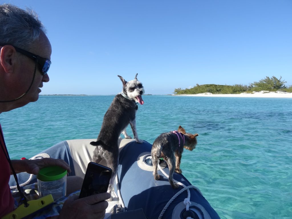 Tugoat in his "Spot" on the bow of the dingy